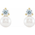6.5mm Cultured Akoya Pearl & 0.50ctw Diamond Earrings in 14k Gold