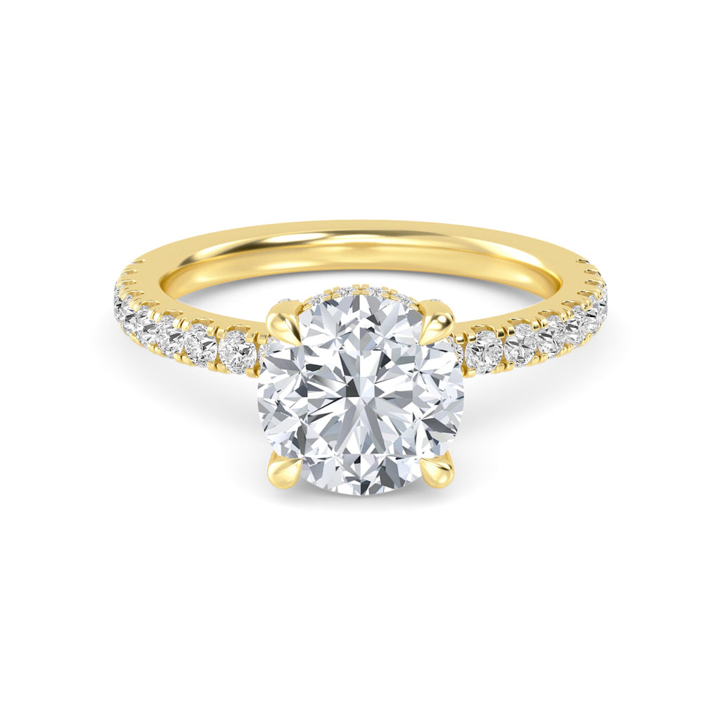 The Natasha 2.70ctw Round cut Lab Grown Diamond Hidden Halo Engagement Ring