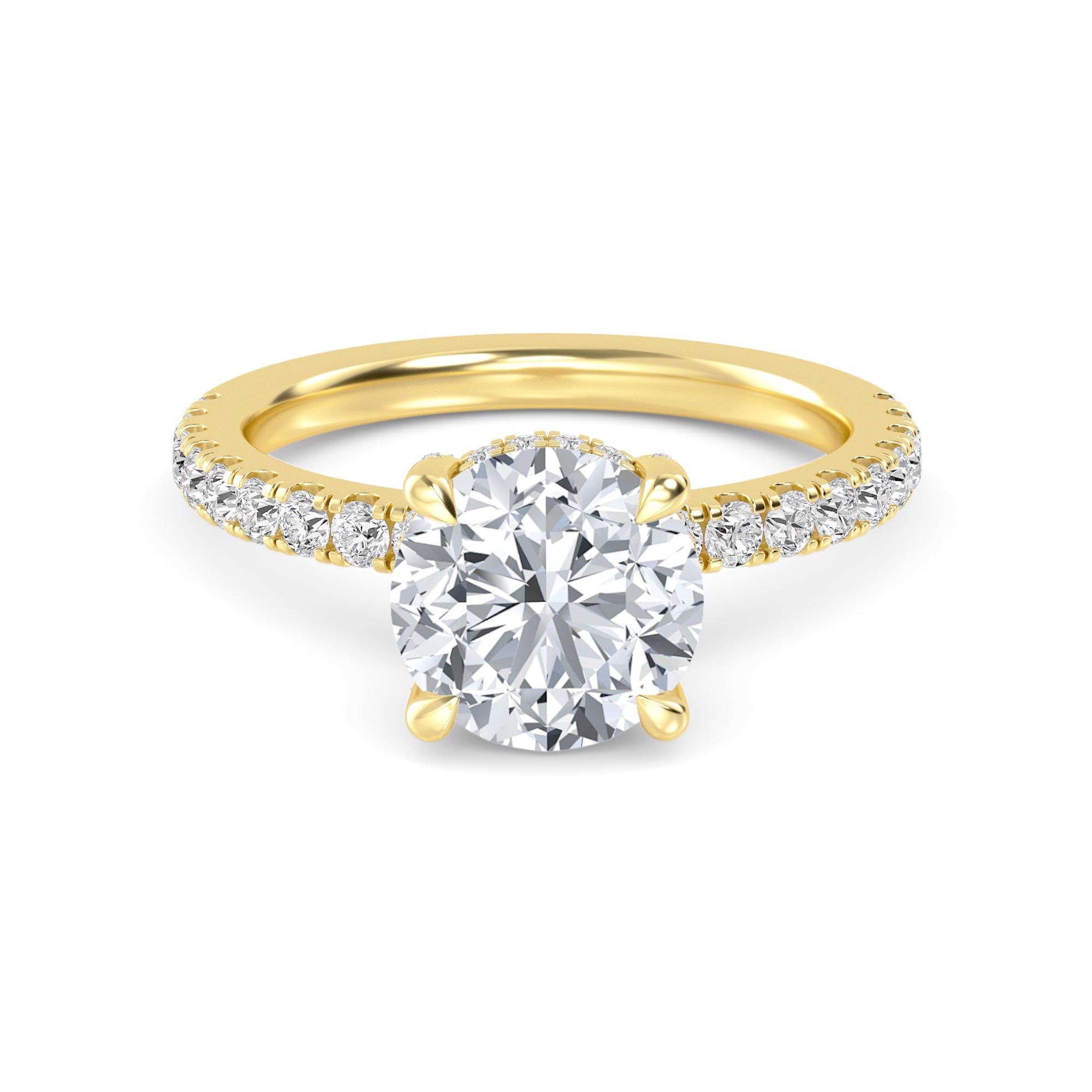 The Natasha 2.70ctw Round cut Lab Grown Diamond Hidden Halo Engagement Ring