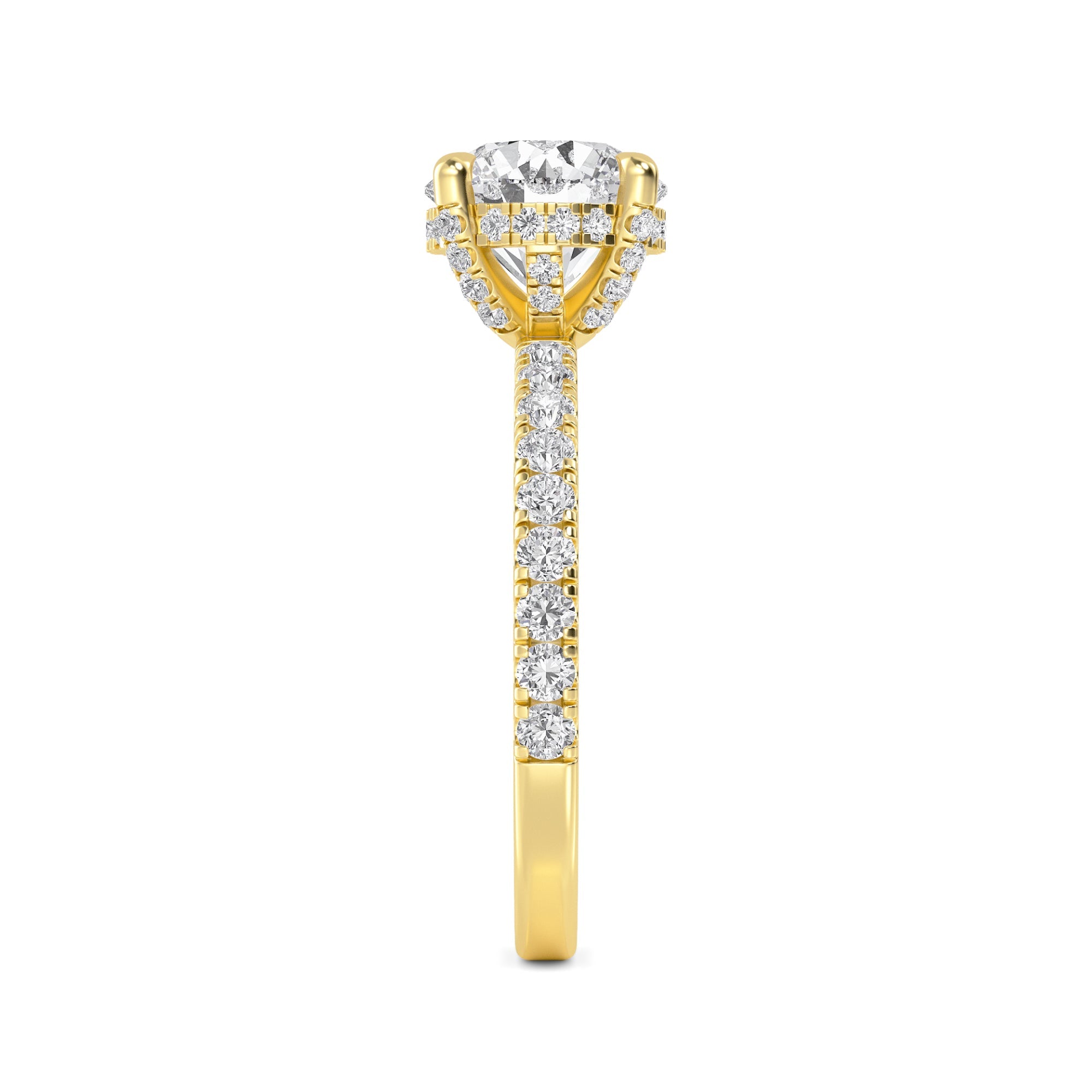The Natasha 2.70ctw Round cut Lab Grown Diamond Hidden Halo Engagement Ring