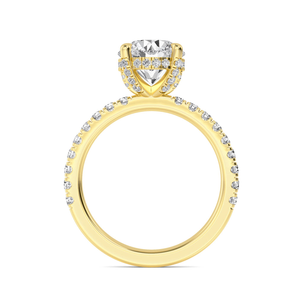 The Natasha 2.70ctw Round cut Lab Grown Diamond Hidden Halo Engagement Ring