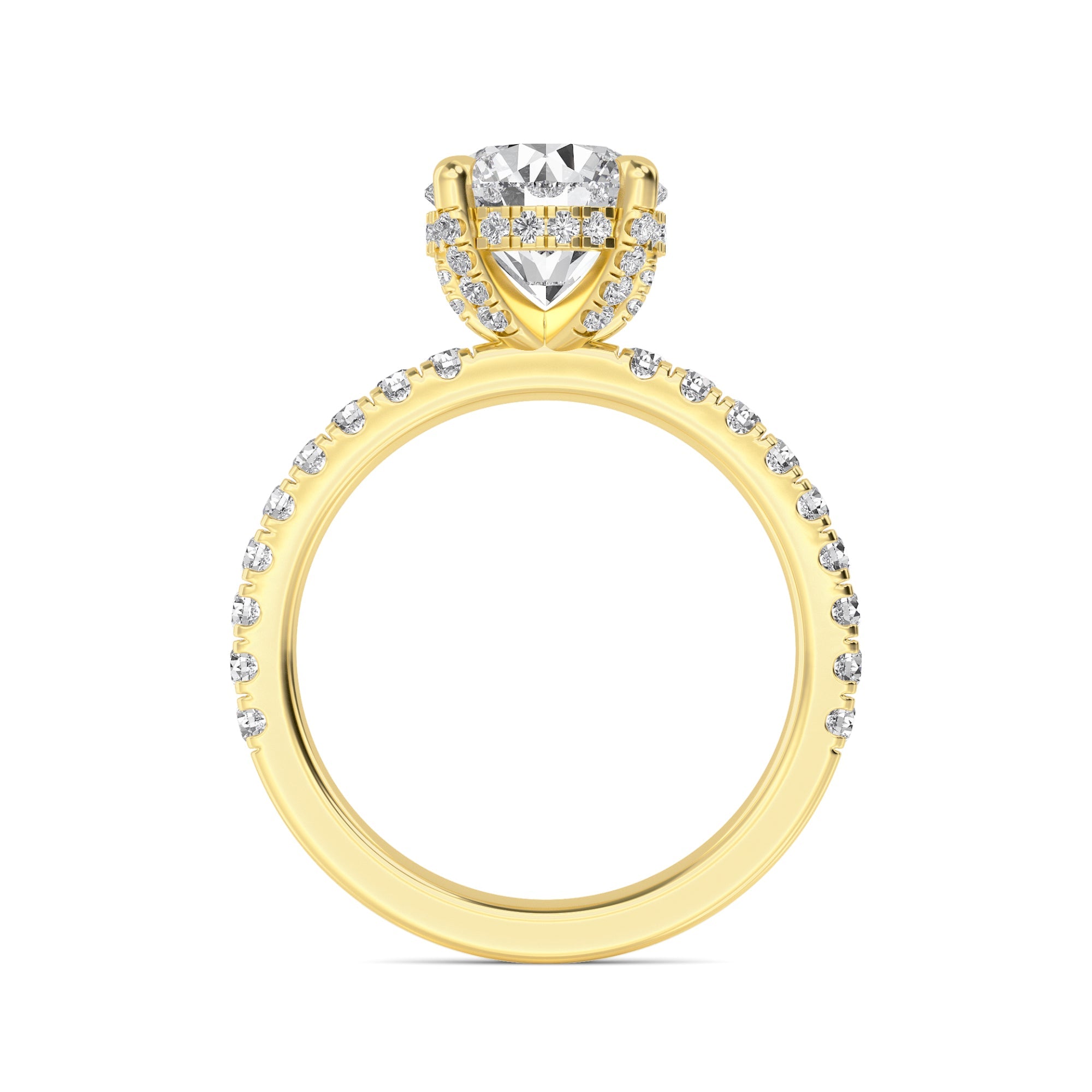 The Natasha 2.70ctw Round cut Lab Grown Diamond Hidden Halo Engagement Ring
